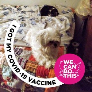 Meet your Posher, Zoe